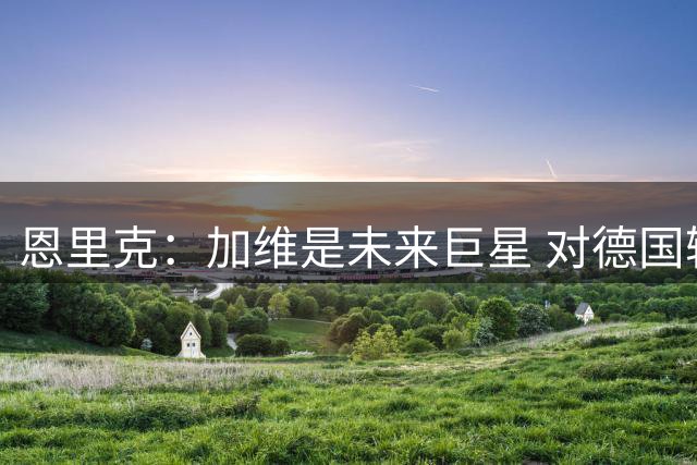 恩里克：加维是未来巨星 对德国输球感到惊讶