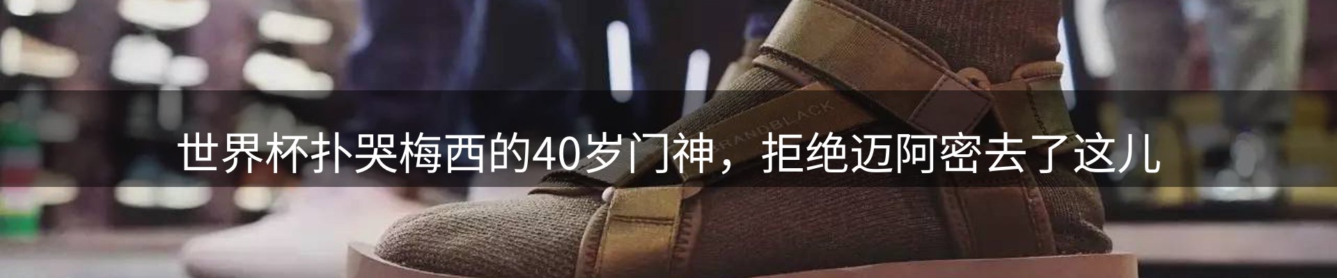 网站资讯