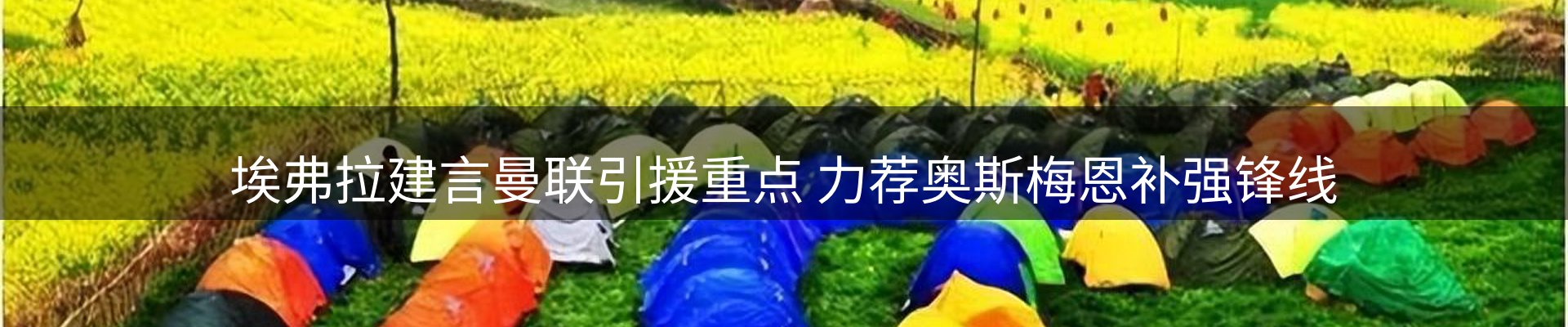 网站资讯