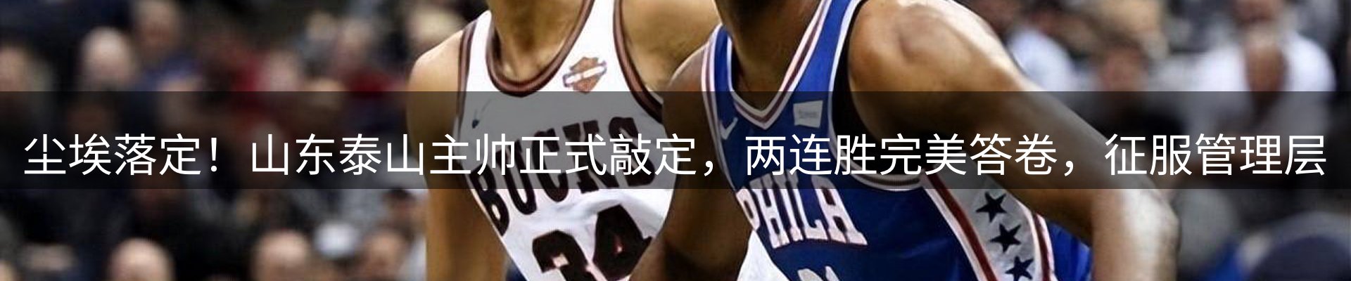 网站资讯