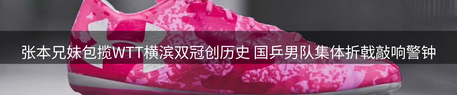 网站资讯