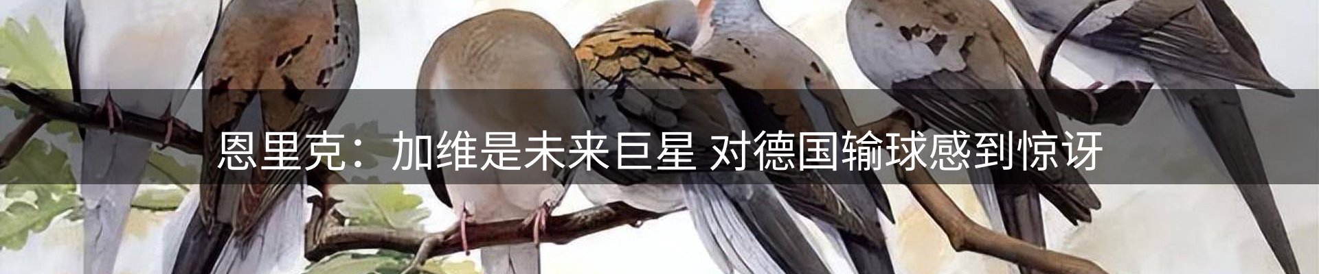 网站资讯