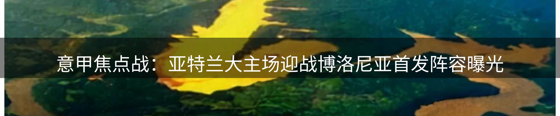 企业动态