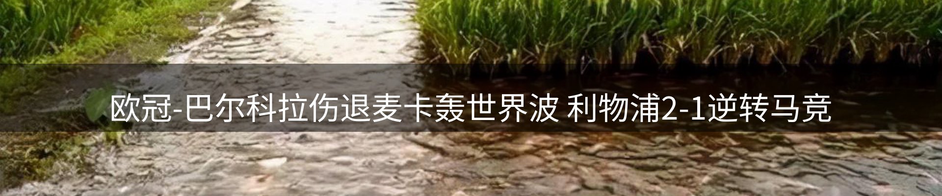 企业动态