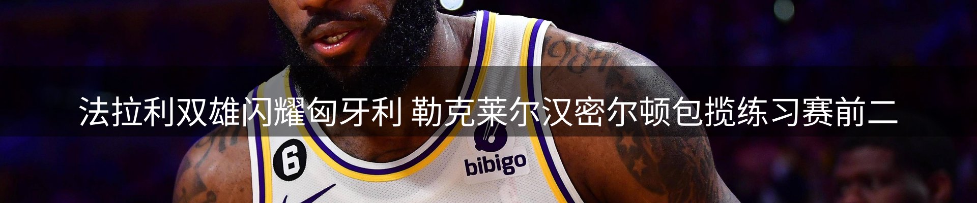 网站资讯