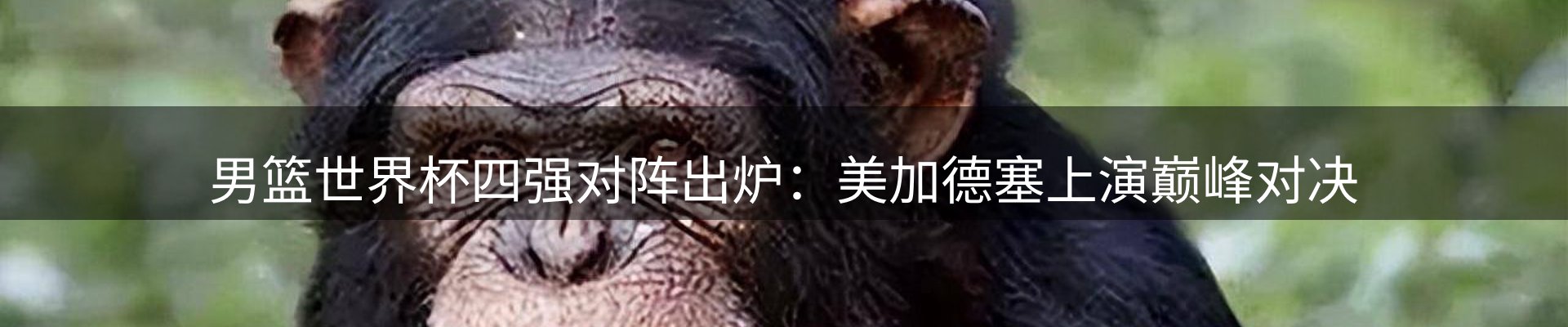 网站资讯