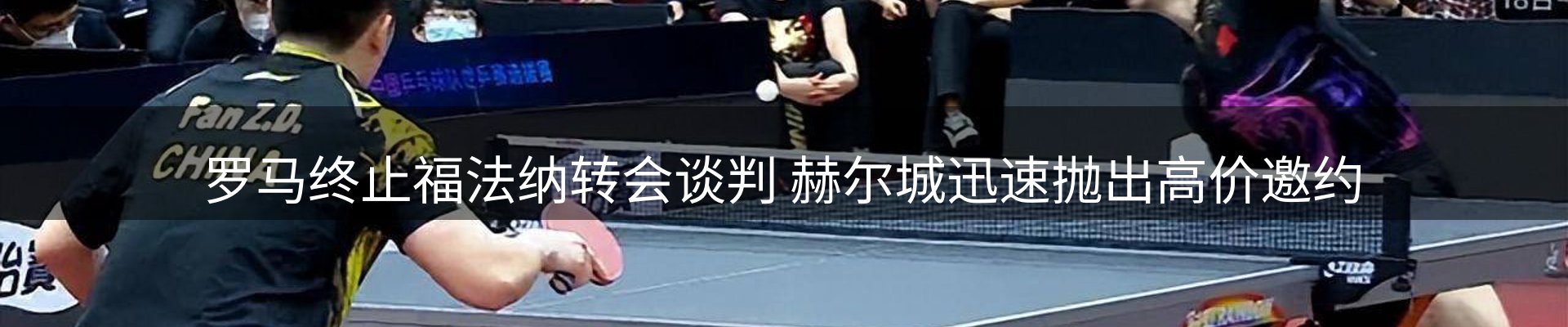 企业动态