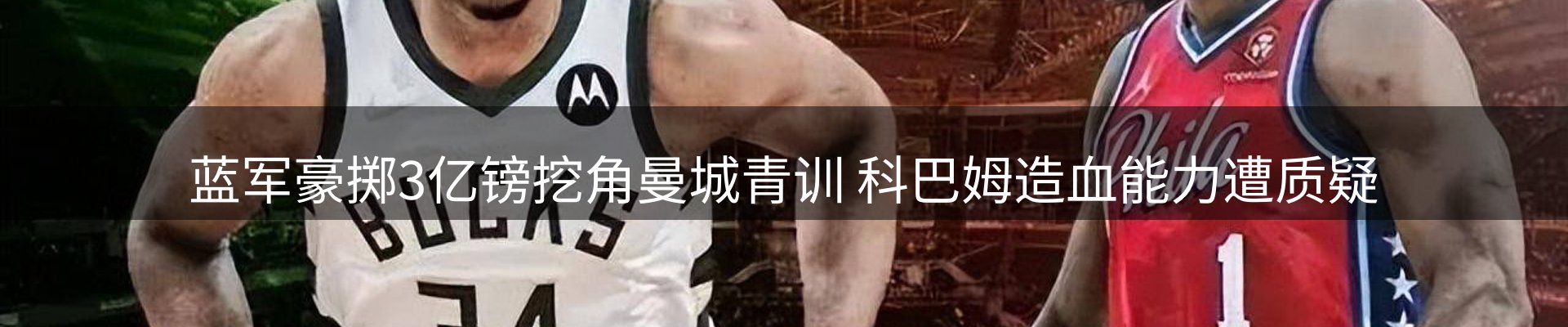 网站资讯