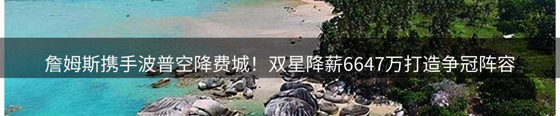 网站资讯
