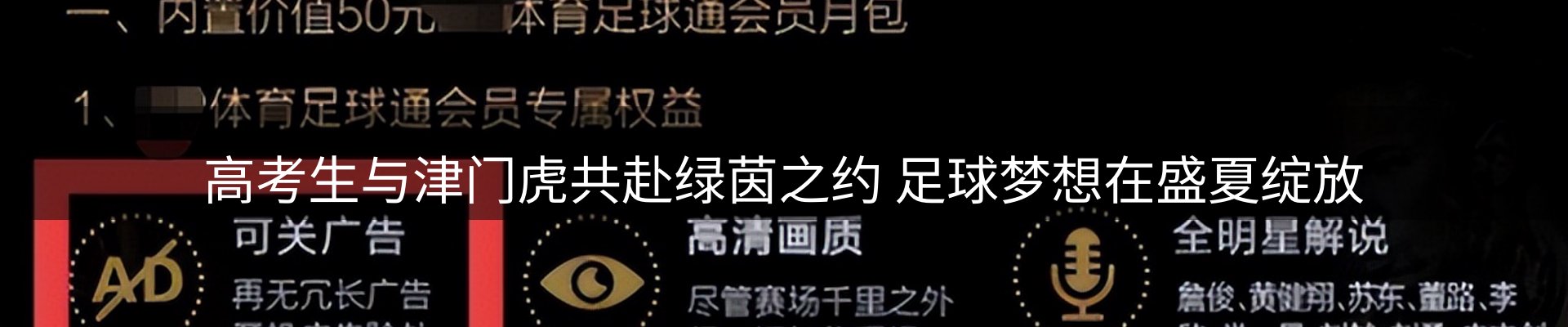 网站资讯