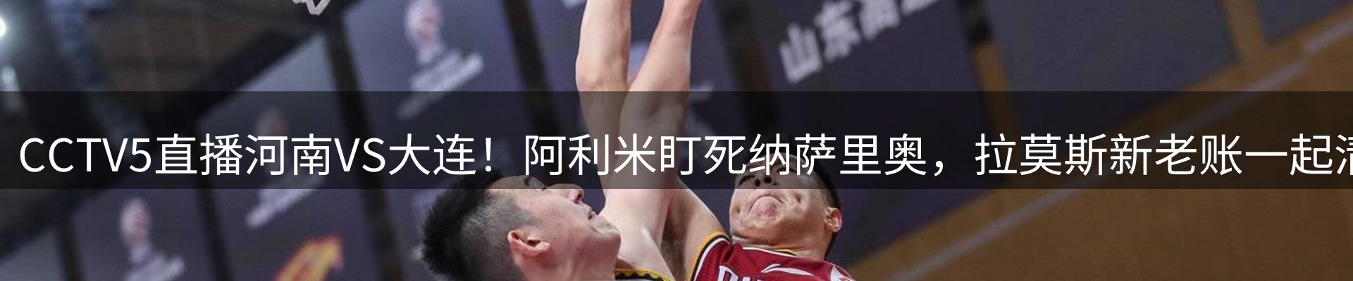 网站资讯