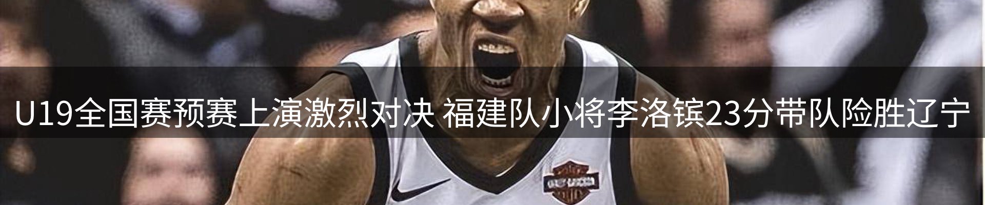 网站资讯